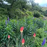 Σπίτι διακοπών The Hayloft, Lakes & Dales Nateby (Cumbria)