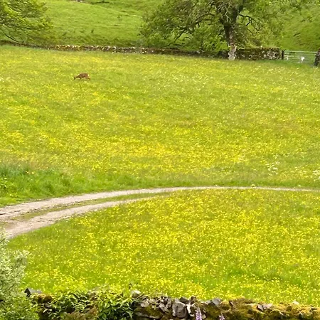 The Hayloft, Lakes & Dales *