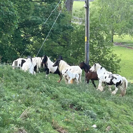 The Hayloft, Lakes & Dales Nateby (Cumbria)