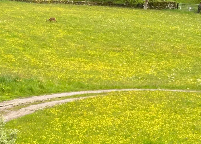 The Hayloft, Lakes & Dales *