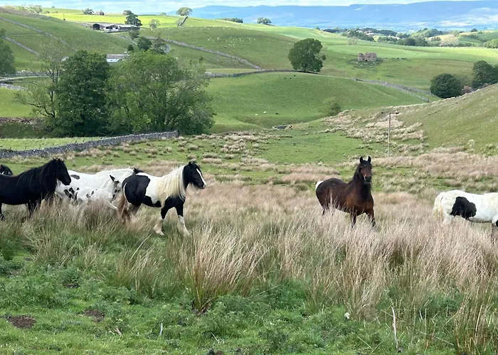 The Hayloft, Lakes & Dales