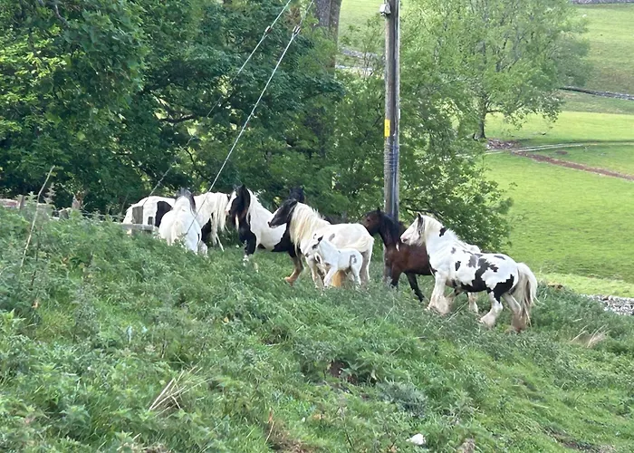 The Hayloft, Lakes & Dales Nateby (Cumbria)