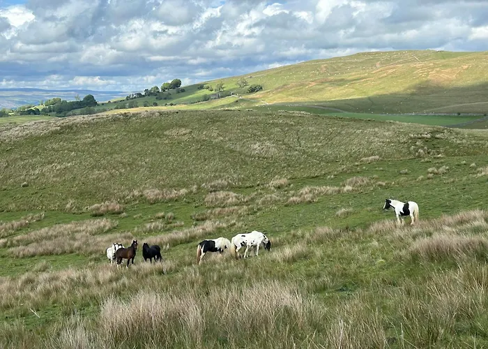 The Hayloft, Lakes & Dales